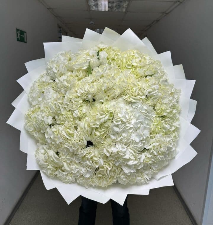 Сказочные мгновения