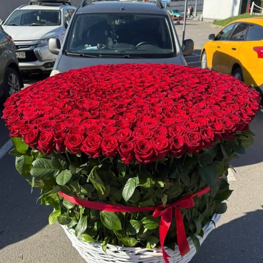 Солнечные лучи