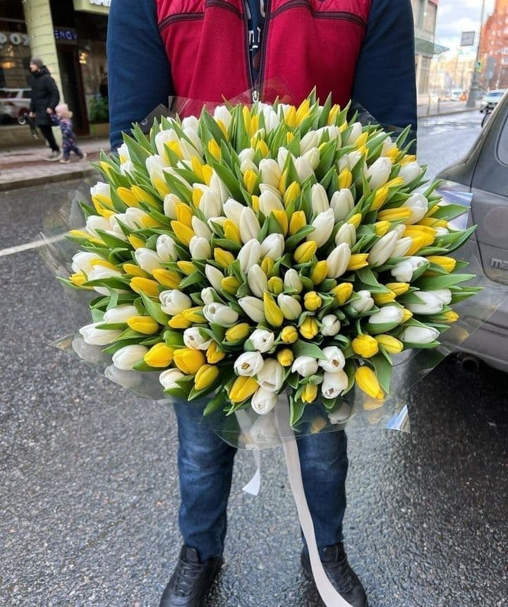 Душа Прованса