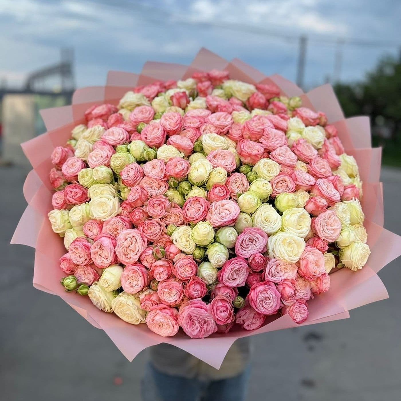Розы на закате