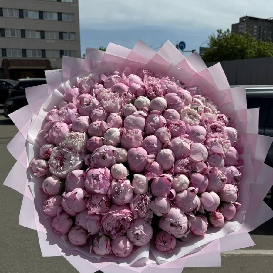 На краю света