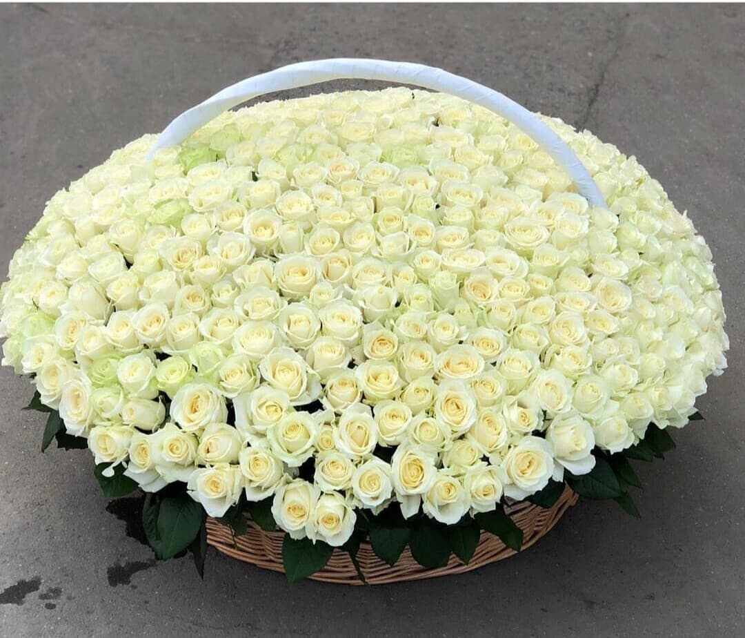 Мелодия счастья