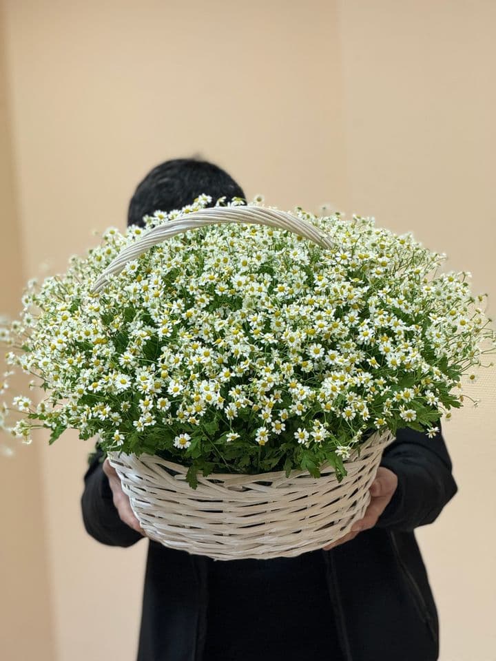 Летнее поле
