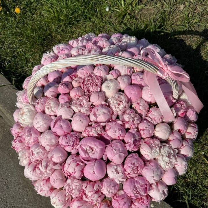 Летний дождь
