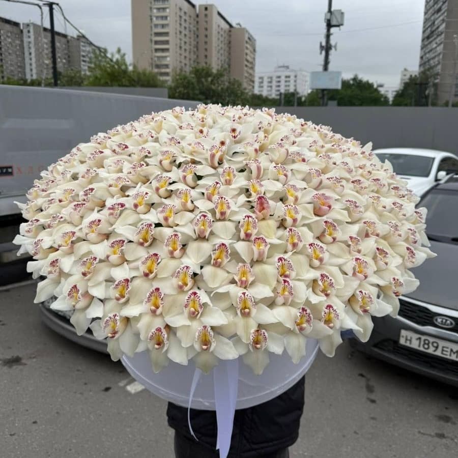 Эхо любви