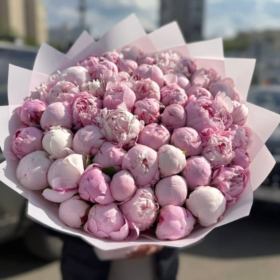 Звездные мечты