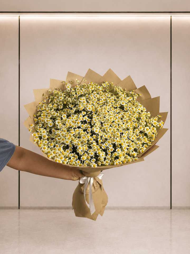 Букет из 25 ромашек «Летнее поле», размер 45×55 см, в офисе Start Flowers