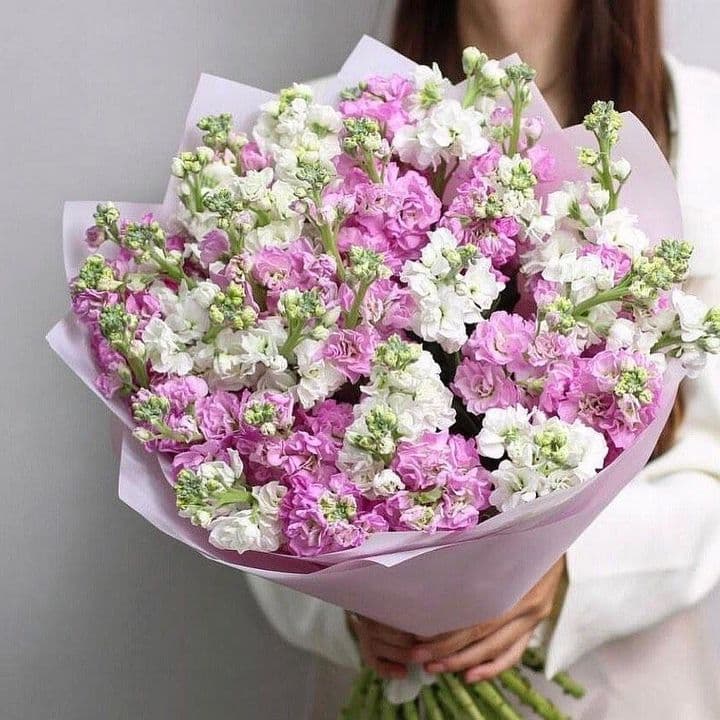 Словно в сказке