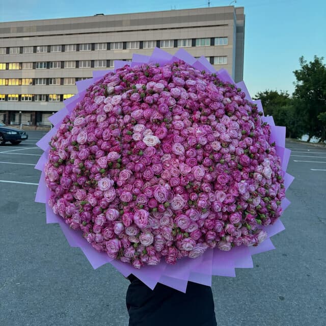 В поисках счастья