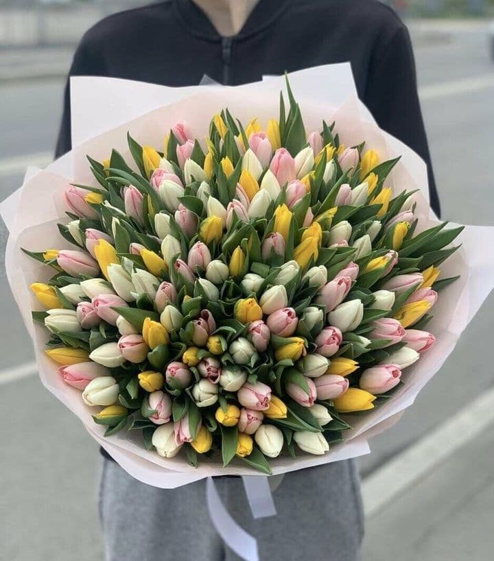 Краски утра