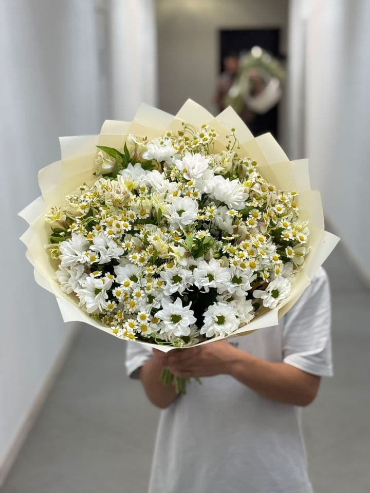 Солнечные дни
