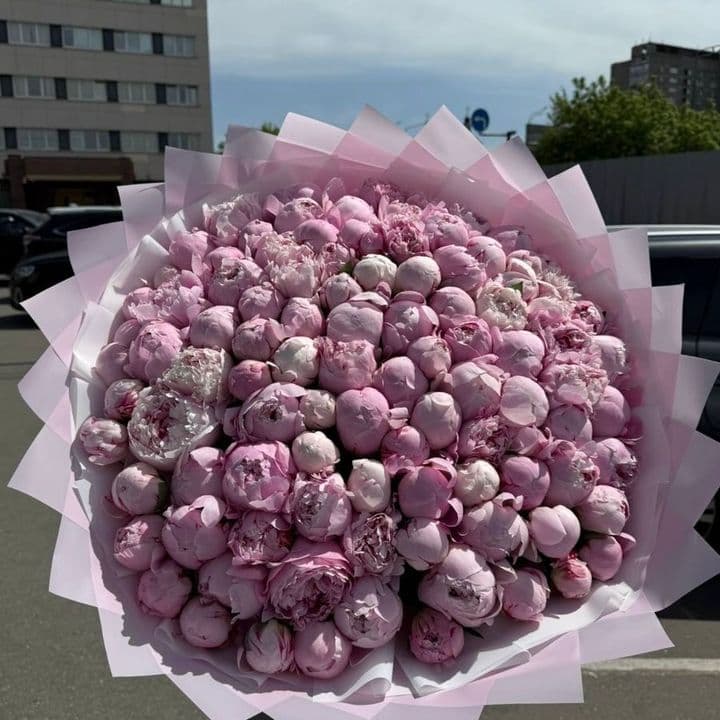 На краю света