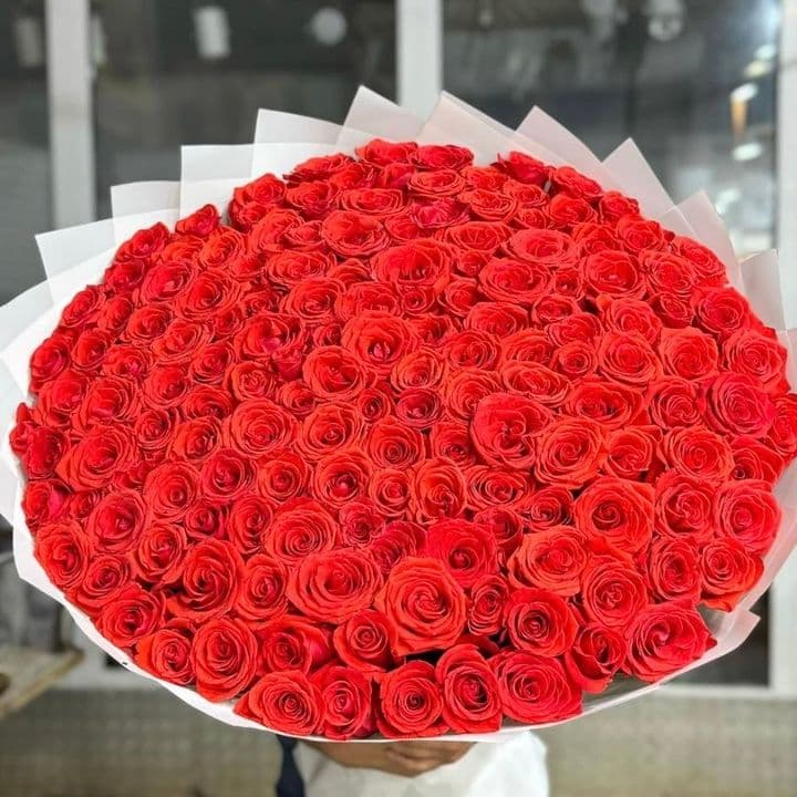 Сказочное утро