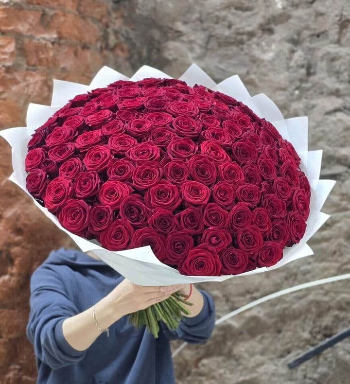 101 красная роза