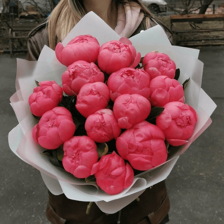 Коралловый рай